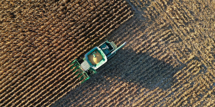 Make America Healthy Again Movement