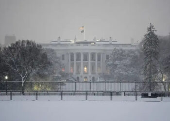 White | Van broke through security barriers